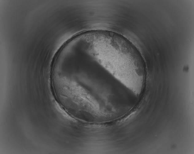 X0000093600941200710221544