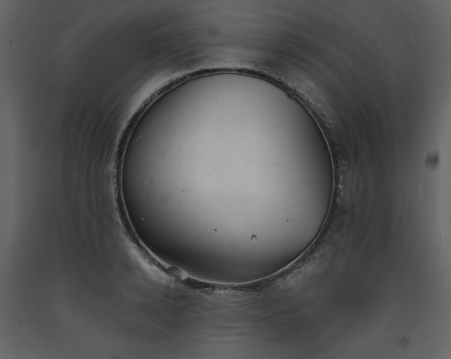 X0000093600942200710221544