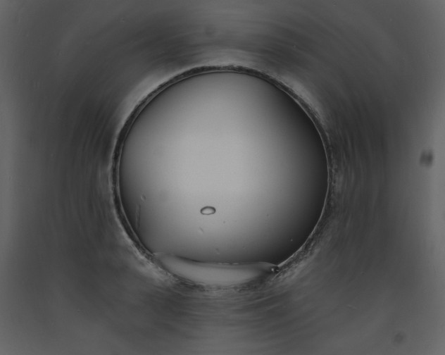 X0000093600943200710221544