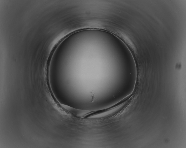 X0000093600944200710221544