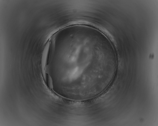 X0000093600945200710221544