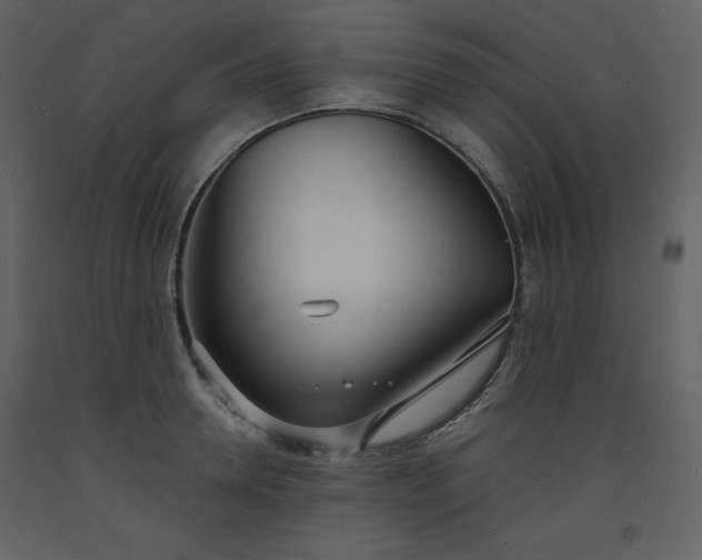 X0000093600946200710221544