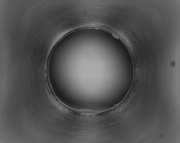 X0000093600948200710221544