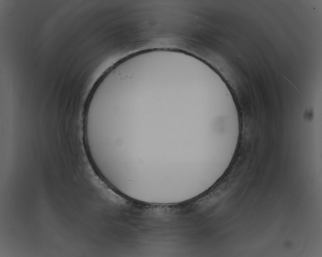 X0000093600950200710221544