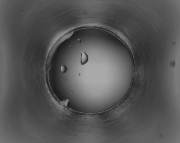 X0000093600951200710221544