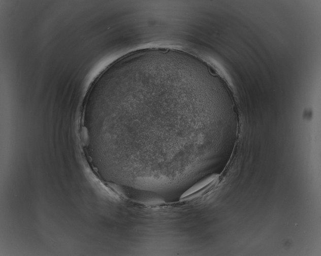 X0000093600952200710221544