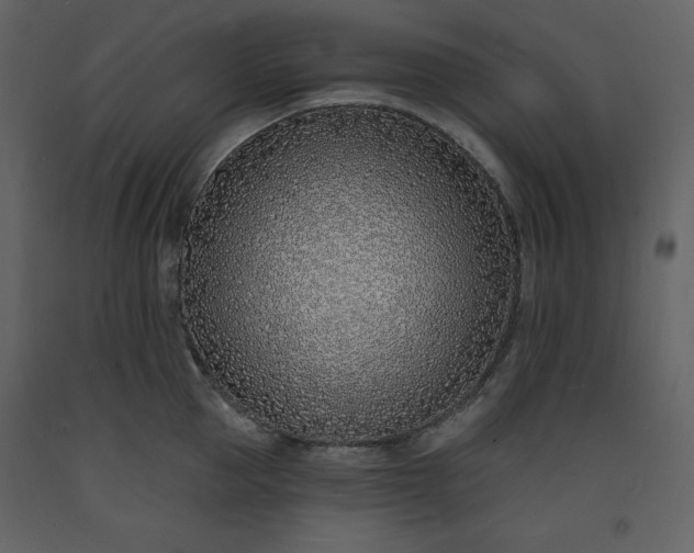 X0000093600953200710221545