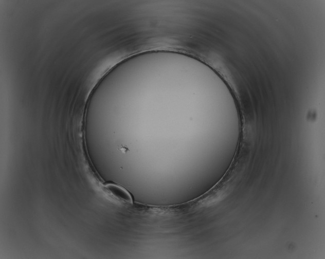 X0000093600954200710221545