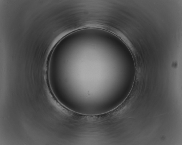 X0000093600955200710221545