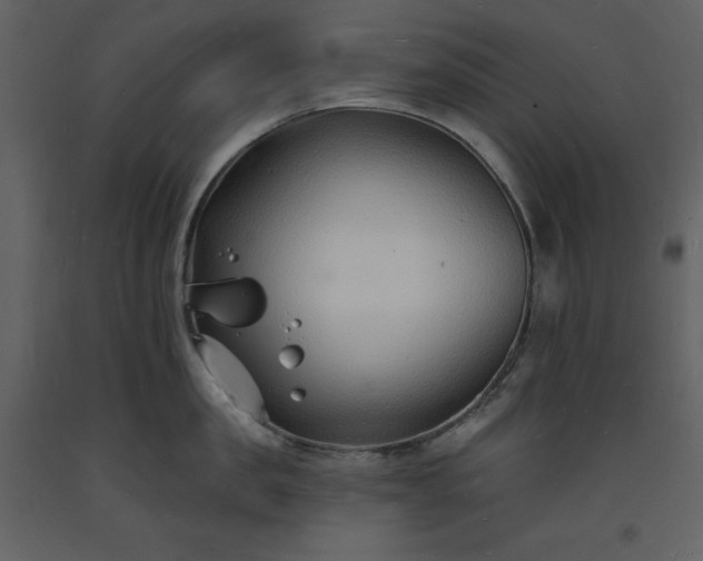 X0000093600957200710221545