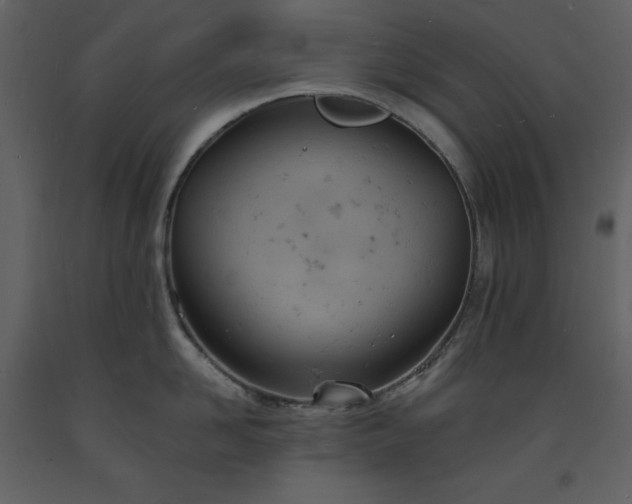 X0000093600958200710221545