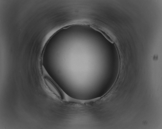 X0000093600960200710221545