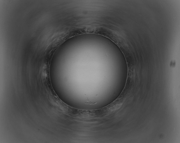 X0000093600962200710221544