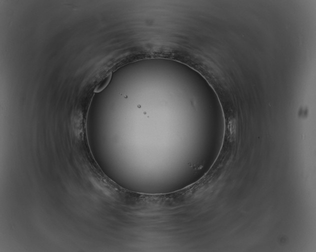 X0000093600963200710221544