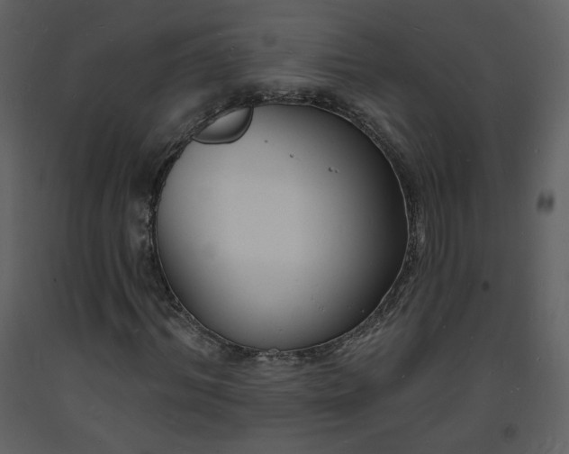 X0000093600964200710221544