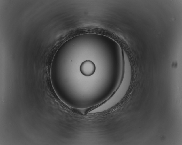 X0000093600965200710221544