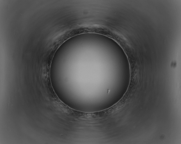 X0000093600966200710221544