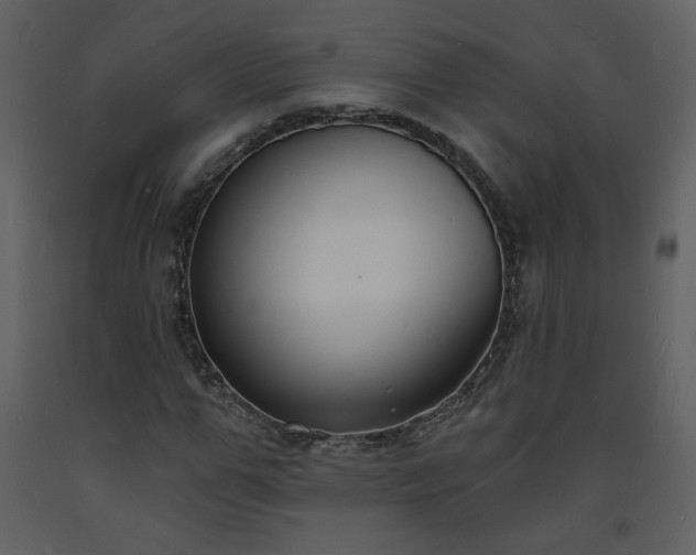 X0000093600967200710221544