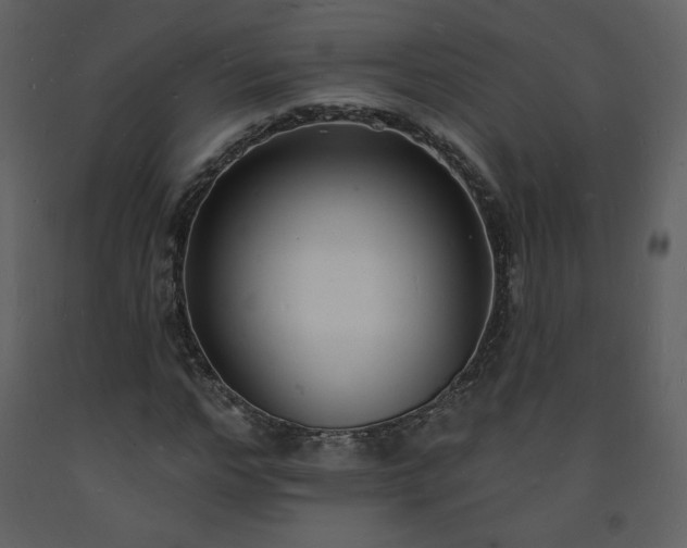 X0000093600968200710221544