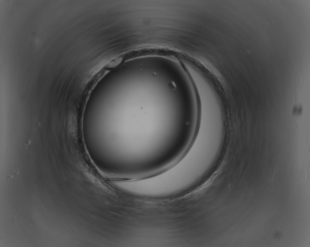 X0000093600969200710221544