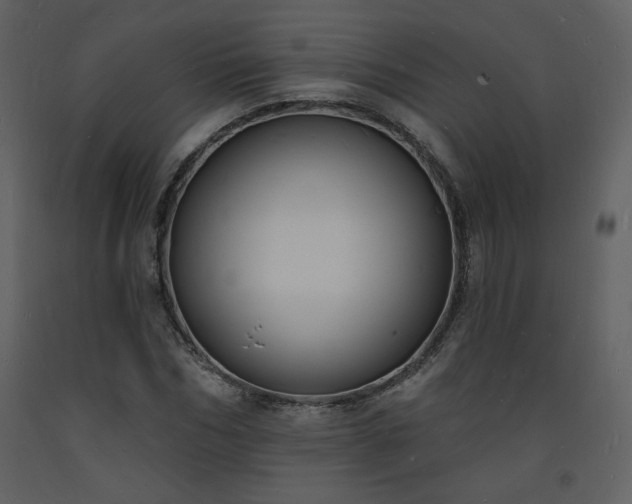 X0000093600970200710221544