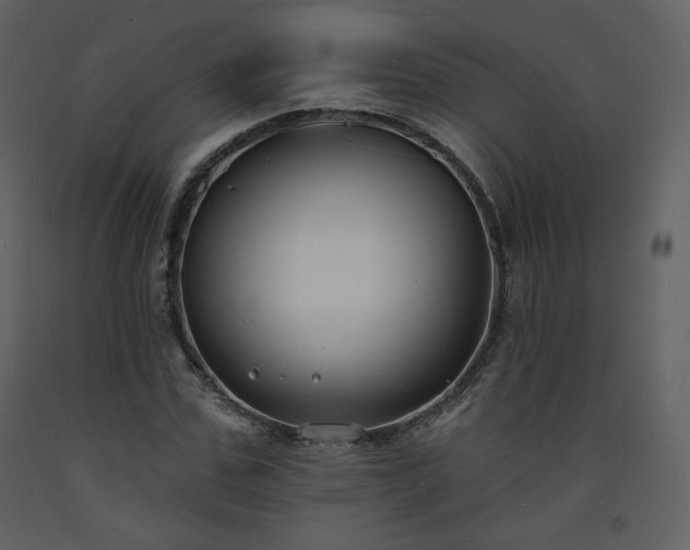 X0000093600971200710221544