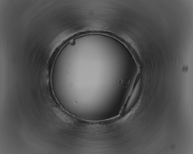 X0000093600973200710221544