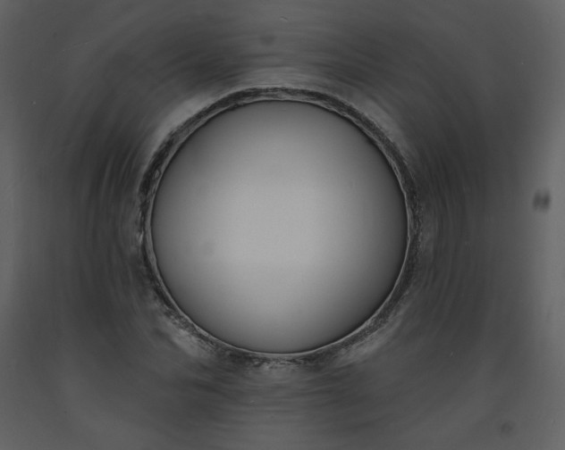 X0000093600974200710221544