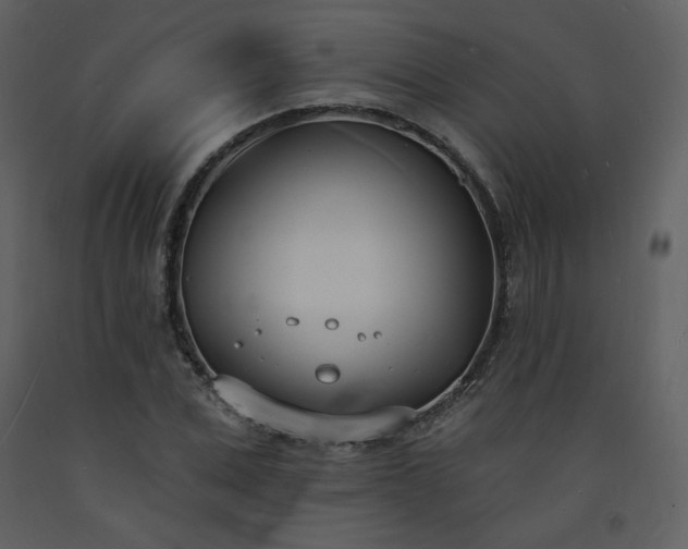 X0000093600975200710221544