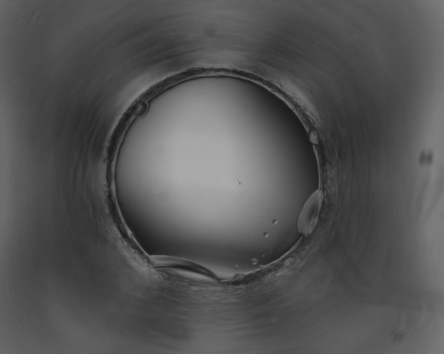 X0000093600976200710221544