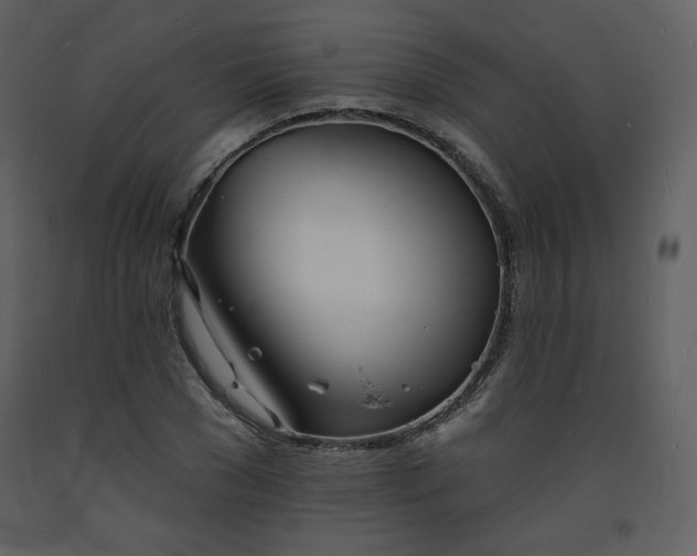 X0000093600977200710221544