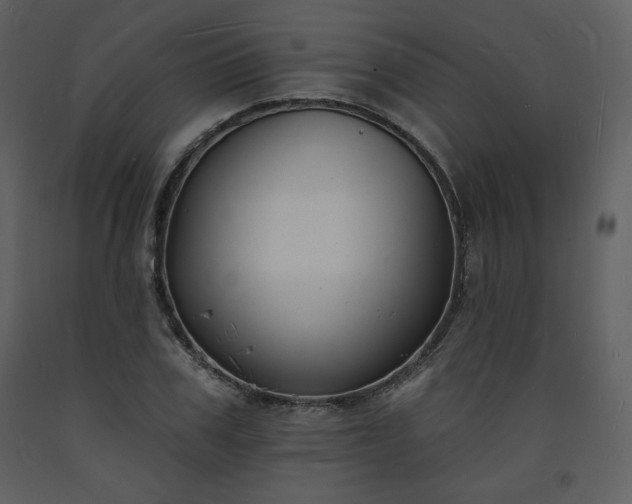 X0000093600979200710221544