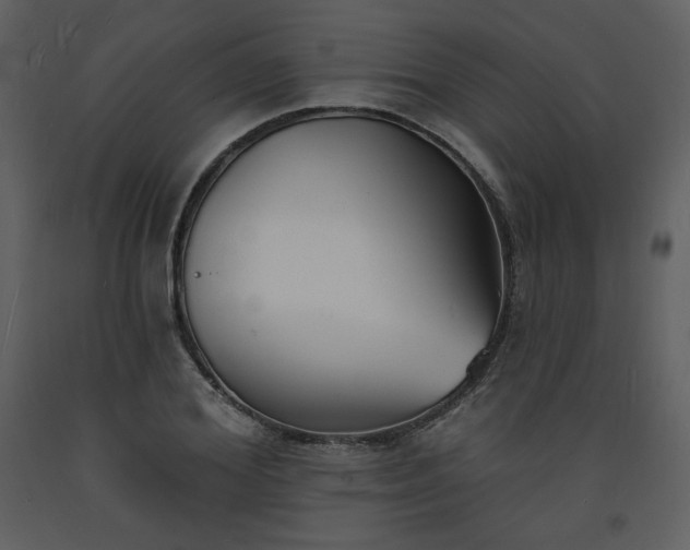 X0000093600980200710221544