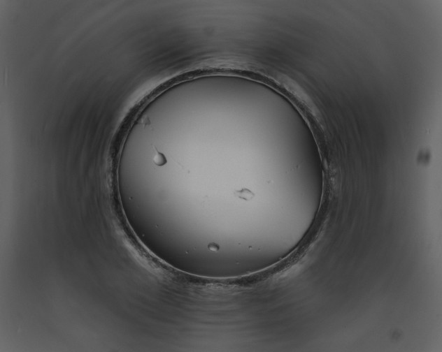 X0000093600981200710221544