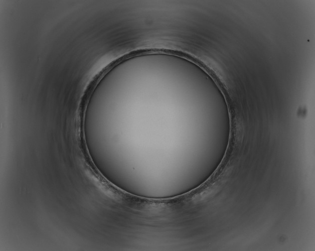 X0000093600982200710221544