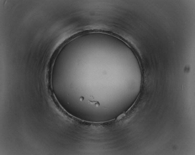 X0000093600983200710221544