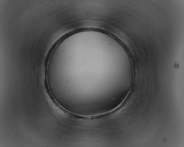 X0000093600984200710221544