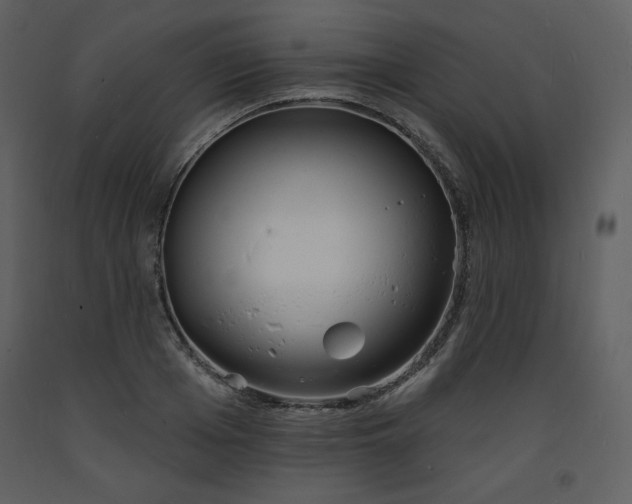 X0000093600985200710221544