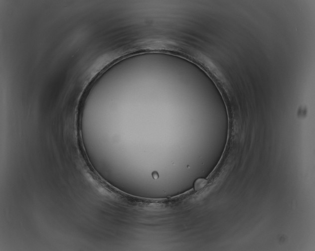 X0000093600986200710221544