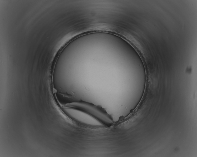 X0000093600989200710221544