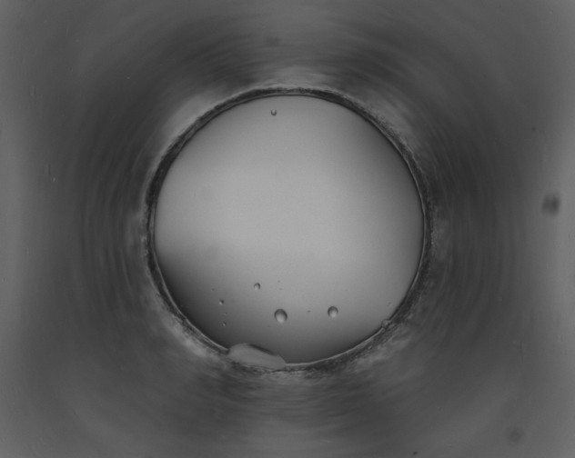 X0000093600990200710221544