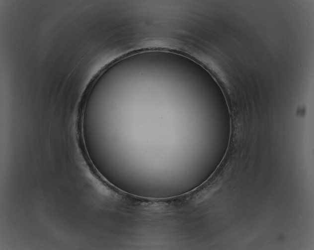 X0000093600991200710221544