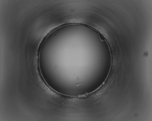 X0000093600992200710221544