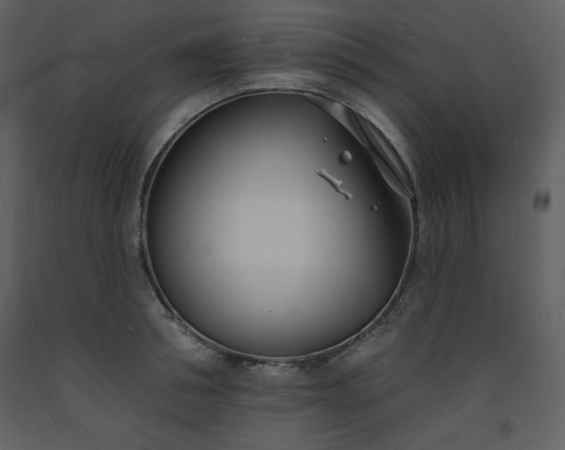 X0000093600994200710221544