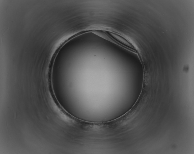 X0000093600995200710221544