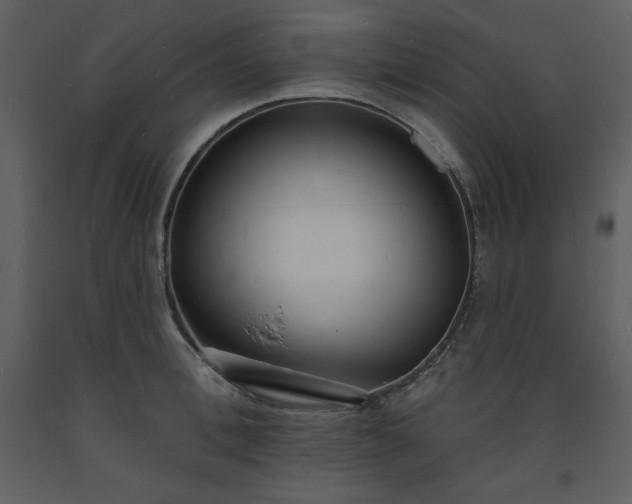 X0000093600996200710221544