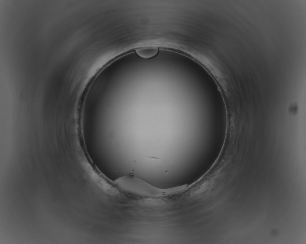 X0000093600998200710221544