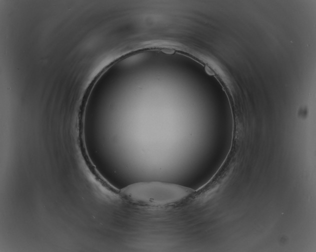 X0000093600999200710221544