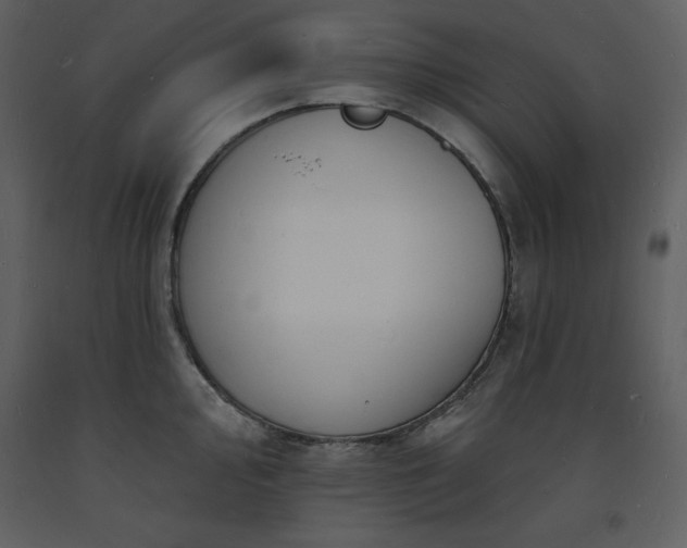 X0000093601000200710221544