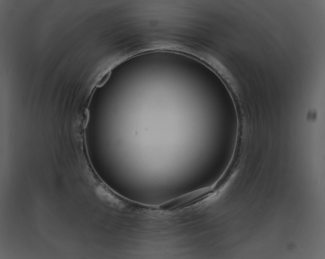 X0000093601001200710221543